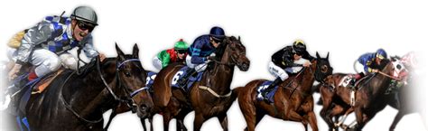 pacific horse racing png.